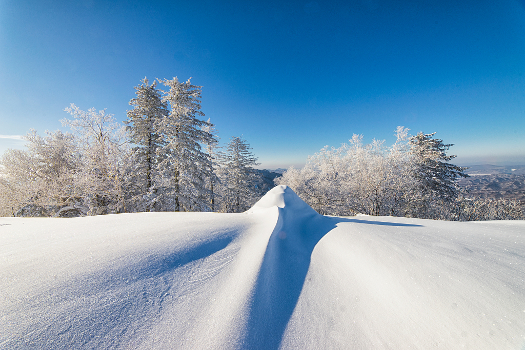 拉尼娜或将登场，今冬会是冷冬吗？国家气候中心解读来了